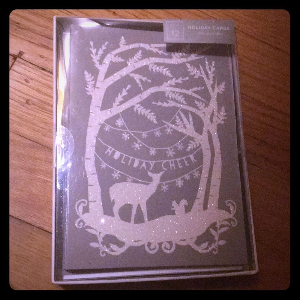 12 Holiday/Christmas cards